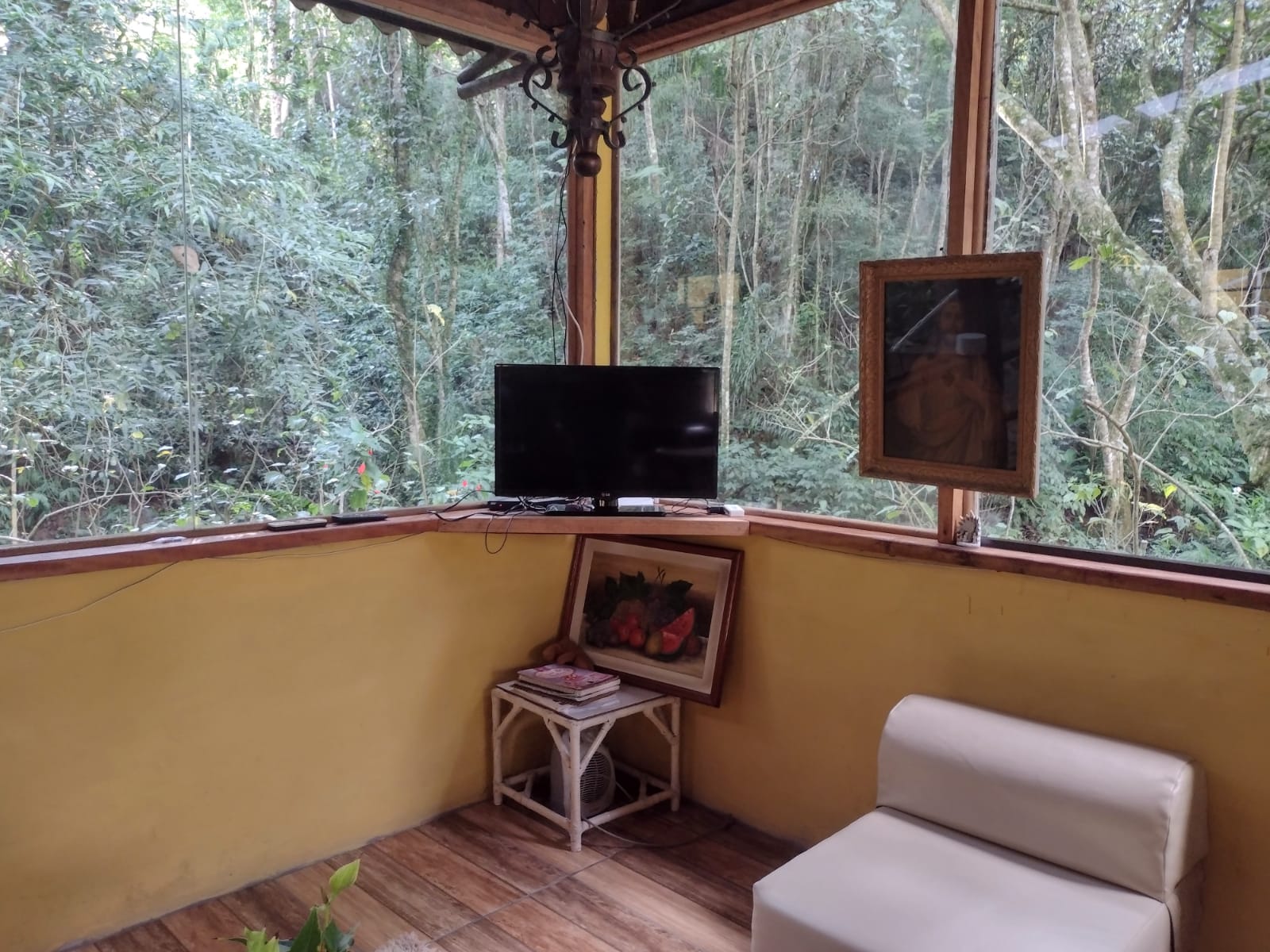 Acomodação - sala TV com mata